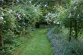 FilRoses_MmeDethier (36)